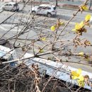 개나리아파트 놀이터 이미지