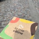 보나미(BON AMI) 이미지