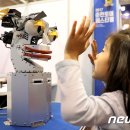 토이박사 이미지