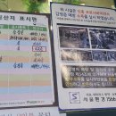 강고집참맛