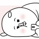 라이브빙고 이미지