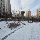 시립영통자이어린이집 네이버블로그