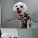 윤헤어클럽 - 북구 | 윤헤어클럽