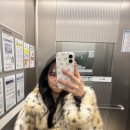 지우테크 | 상하이 로맨스