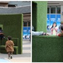 대관령 당구장 이미지