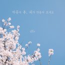 하늘 스테이 이미지