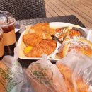 애견시대 이미지