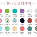 슈가네일 이미지