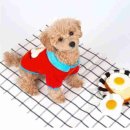 써니유통 이미지