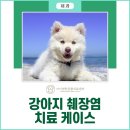 아이편한 동물의료센터 이미지