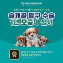 드림연합소아청소년과의원 이미지