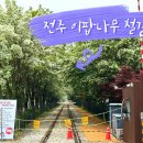 팔복동-05(팔복주유소) | 전주 팔복동 이팝나무 철길 위치 개화상황 실시간 후기