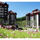 풀베르데 이미지