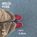 배민커넥트 배달알바 - 강남 도보 후기 및 수입 그리고 소소한 정보