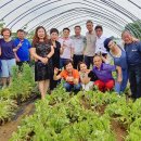 하계농장 이미지