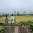 (주)자연농 이미지