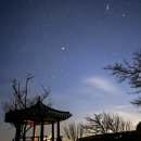 숲앤숲