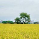 우치공원 이미지