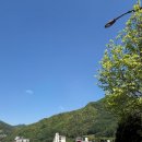 세븐일레븐정선민둥산역점