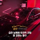 분당손세차장