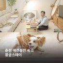 춘천 애견동반 숙소 몽글스테이, 아늑한 독채 펜션 에어비앤비