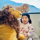 의령도서관 | 의령 야베스팜카페 _ 아이와가기좋는곳 진주 근교 체험 목장 체험