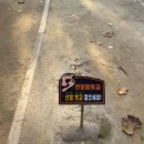 은행공원 | [대구 두류공원] - 가을 산책 후기: 단풍과 은행나무가 물든 길, 도심 속 힐링 산책로.