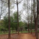 당산근린공원 이미지