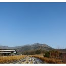 봉황산 입구 이미지