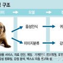 애플기획 이미지