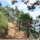 대항새바지 이미지