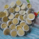 대한메추리 이미지