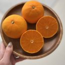 요제농장 이미지