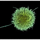 케이메딕스 이미지