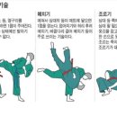 천마유도체육관 네이버블로그