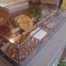 광보의원 이미지