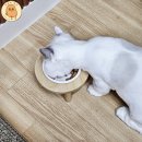 견생냥품 무인24시 대구 죽곡점 | 대구 달서구 도원동 강아지 고양이 반려동물간식 견생냥품 24시 무인펫샵 대구도원점