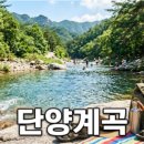 속초 오징어난전 개장 정보와 정찰제 시세 주차 꿀팁 총정리