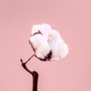 더잘자짐 이미지