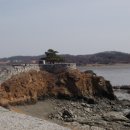 강화인삼센타 티스토리