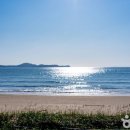 만리포해수욕장 관광지 이미지