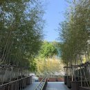 순백의 마음 빚다 | 국립중앙박물관 나들이<달항아리•고려 상형청자 전시>