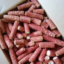 용포 농장2 이미지