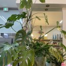 대륭빌딩 | 구로디지털단지역 꽃집 추천 플라워리치에서 찾은 인생 꽃다발 후기