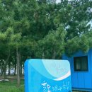 율포해수욕장 | 보성 율포 해수욕장 가족 여행 추천: 평일 무료 텐트 이용후기 차박 가능 /화장실 샤워장 정보