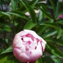 무을초등학교 이미지