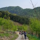 영소 농장 이미지