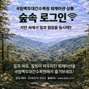 숲 카카오 검색결과