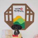 눈이부시개 | 주안에서 애견미용 찾다가 방문한 눈이부시개 후기