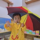 7/29 뭉크 둥이들☂️ 이미지